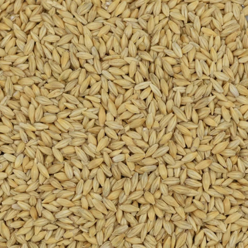 Premium Australian barley 30KG